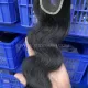 2x6 HD/ Transparent Lace Closure Body Wave